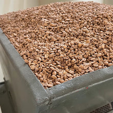 Load image into Gallery viewer, CONDOR COLOMBIA EA DECAF SINGLE ORIGIN - GREEN BEANS
