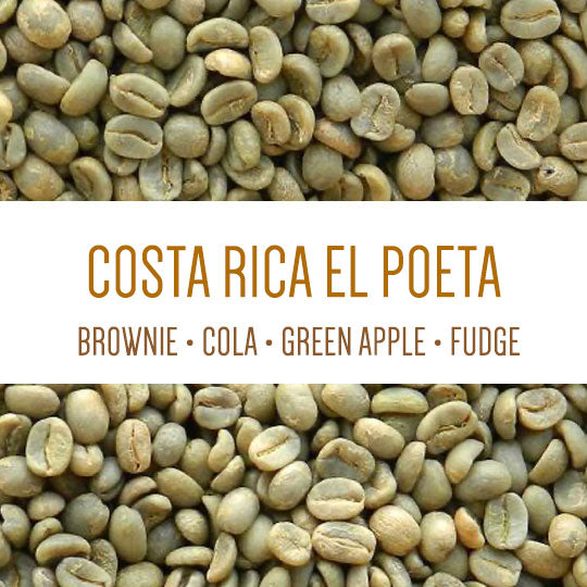 Costa Rica El Poeta - Green Beans packshot
