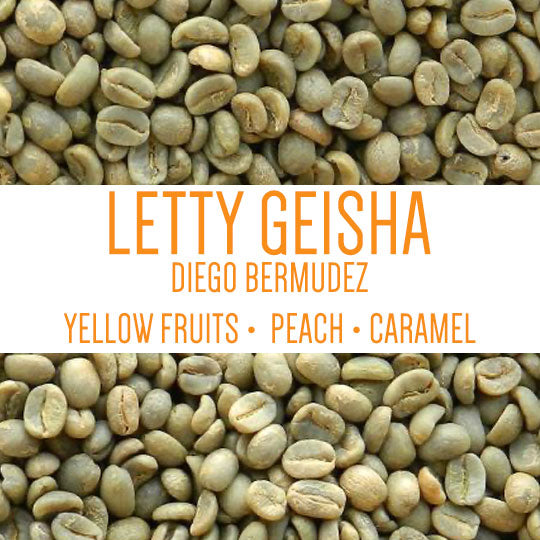 Geisha Letty Diego Bermudez Finca El Paraiso Cauca, Colombia packshot