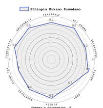 Load image into Gallery viewer, Ethiopia Dukamo Rumudamo Wet Process (Washed)
