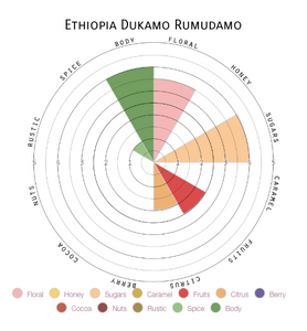 Ethiopia Dukamo Rumudamo Wet Process (Washed)