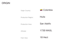 Load image into Gallery viewer, Coconut Limeade Monteblanco Purple Caturra Co-fermented Natural Blend