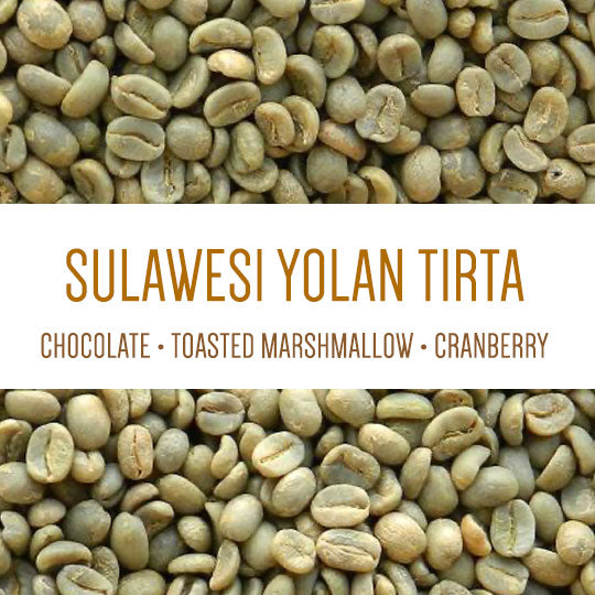 Sulawesi Yolan Tirta Microlot - Green Beans packshot