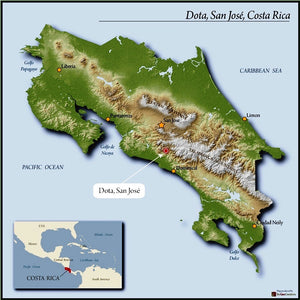 Costa Rica Santa Maria De Dota AA EP 2023 ROASTED