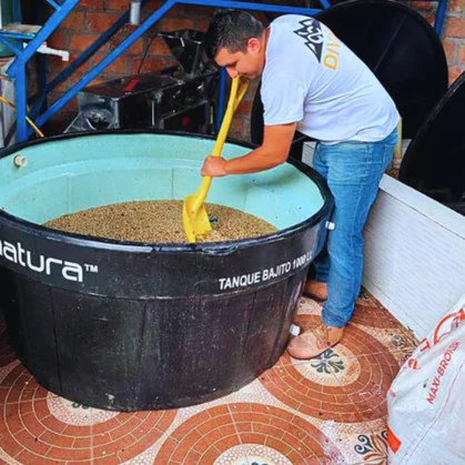 Colombia Peñas Blancas Mill Java Natural 2025 – Good Brothers