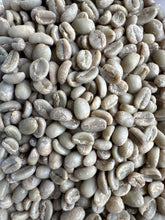Load image into Gallery viewer, Ethiopia Halo Beriti Yirgacheffe Bekele Gemeda Washed GREEN BEANS