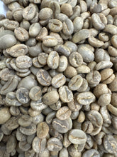Load image into Gallery viewer, Diego Bermudez – Red Plum P-02 GREEN BEANS