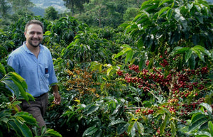 Ecuador Pichincha Galo Morales Washed Mejorado