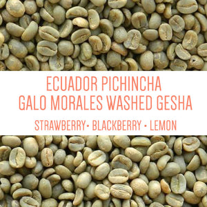 Ecuador Pichincha Galo Morales Washed Gesha UNROASTED GREEN BEANS