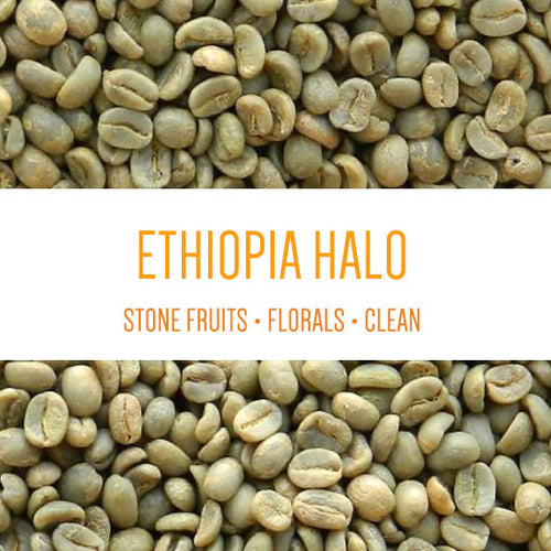 Ethiopia Halo Beriti Yirgacheffe Bekele Gemeda Washed GREEN BEANS