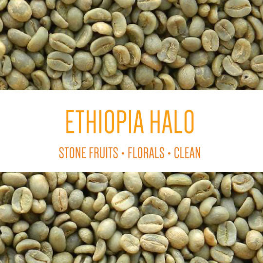 Ethiopia Halo Beriti Yirgacheffe Bekele Gemeda Washed GREEN BEANS