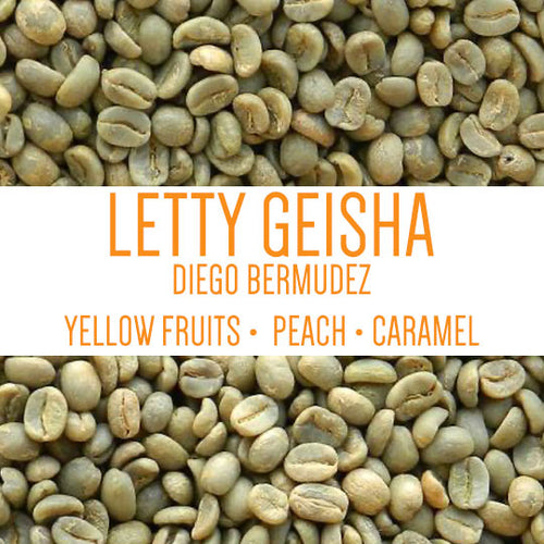 Geisha Letty Diego Bermudez  Finca El Paraiso Cauca, Colombia Green Beans