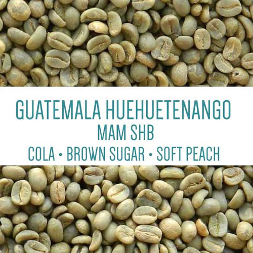 Guatemala Huehuetenango Mam SHB UNROASTED GREEN BEANS