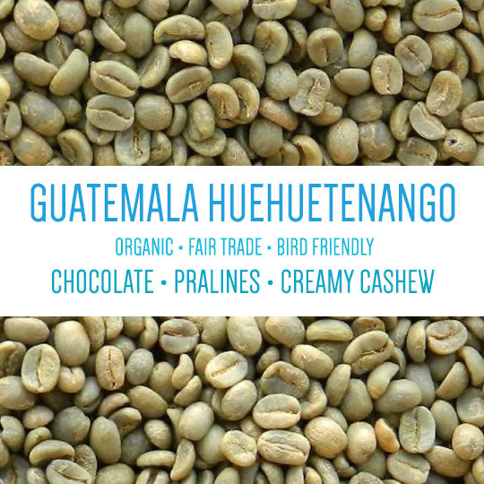 Guatemala Huehuetenango Fair Trade Organic Bird Friendly