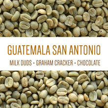 Load image into Gallery viewer, Guatemala San Antonio Washed -  GREEN BEANS