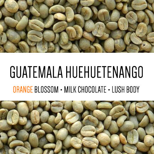 Guatemala Huehuetenango - Waykant - Green Beans
