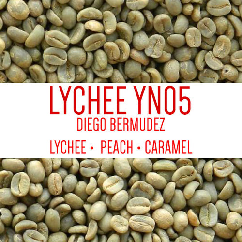 Lychee YN05 Diego Bermudez  Finca El Paraiso Cauca, Colombia Green Beans