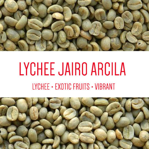 Lychee Washed Castillo + (Wine Yeast / Lychee) Jairo Arcila - GREEN BEANS