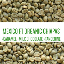 Load image into Gallery viewer, MEXICO FT ORGANIC CHIAPAS SAN FERNANDO ALTURA HG EP UNROASTED GREEN BEANS