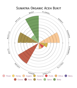 Sumatra Organic Aceh Bukit Organic + Fair Trade Roasted