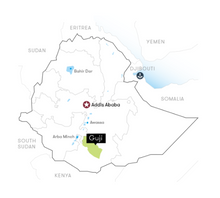 Load image into Gallery viewer, Ethiopia Kayon Mountain Organic G1 Natural GREEN BEANS