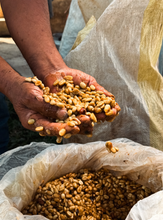 Load image into Gallery viewer, Peru Aromas del Valle Merly Leon G1 Washed Organic