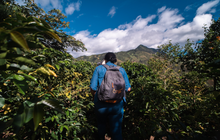 Load image into Gallery viewer, Peru Aromas del Valle Merly Leon G1 Washed Organic