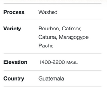 Load image into Gallery viewer, Guatemala Santa Rosa