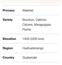 Load image into Gallery viewer, Guatemala Huehuetenango Quetzal (GREEN)