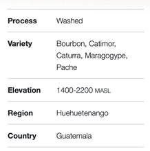 Load image into Gallery viewer, Guatemala Huehuetenango Quetzal