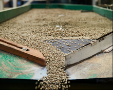 Load image into Gallery viewer, MEXICAN FTO ORGANIC CHIAPAS FESICH COOPERATIVE UNROASTED GREEN BEANS