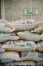 Load image into Gallery viewer, MEXICAN FTO ORGANIC CHIAPAS FESICH COOPERATIVE UNROASTED GREEN BEANS