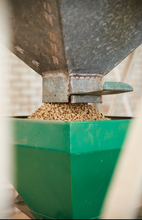 Load image into Gallery viewer, MEXICAN FTO ORGANIC CHIAPAS FESICH COOPERATIVE UNROASTED GREEN BEANS
