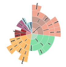 Load image into Gallery viewer, MEXICAN FTO ORGANIC CHIAPAS FESICH COOPERATIVE UNROASTED GREEN BEANS
