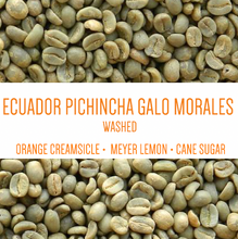 Load image into Gallery viewer, Ecuador Pichincha Galo Morales Washed UNROASTED GREEN BEANS