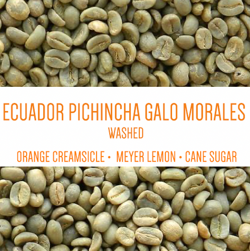 Ecuador Pichincha Galo Morales Washed UNROASTED GREEN BEANS