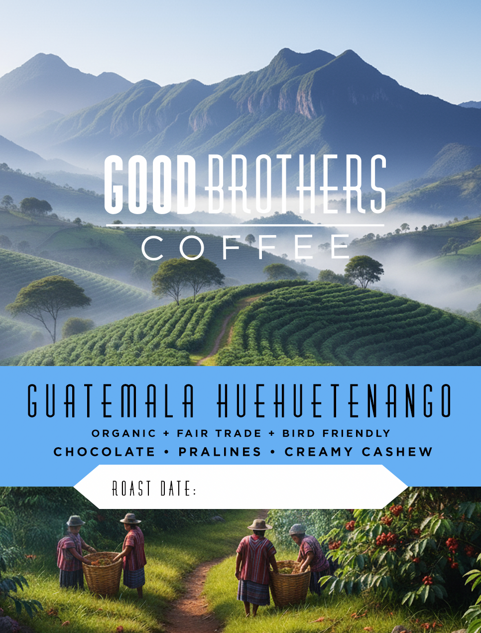 Guatemala Huehuetenango Fair Trade Organic Bird Friendly