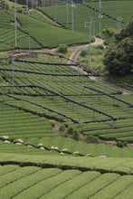 Load image into Gallery viewer, Samidori Single Cultivar Matcha
