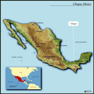 MEXICO FT ORGANIC CHIAPAS SAN FERNANDO ALTURA HG EP UNROASTED GREEN BEANS