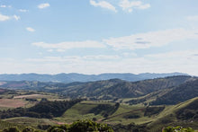 Load image into Gallery viewer, Brazil Serra Negra Natural