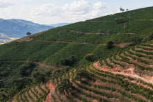 Load image into Gallery viewer, Brazil Serra Negra Natural