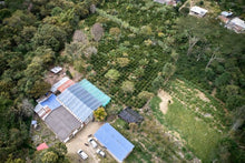 Load image into Gallery viewer, Colombia Nariño Organic + Fair Trade Washed GREEN