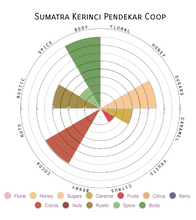 Load image into Gallery viewer, SUMATRA KERINCI PENDEKAR COOP ROASTED