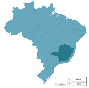 BRAZIL MATA DE MINAS PULPED NATURAL ROASTED